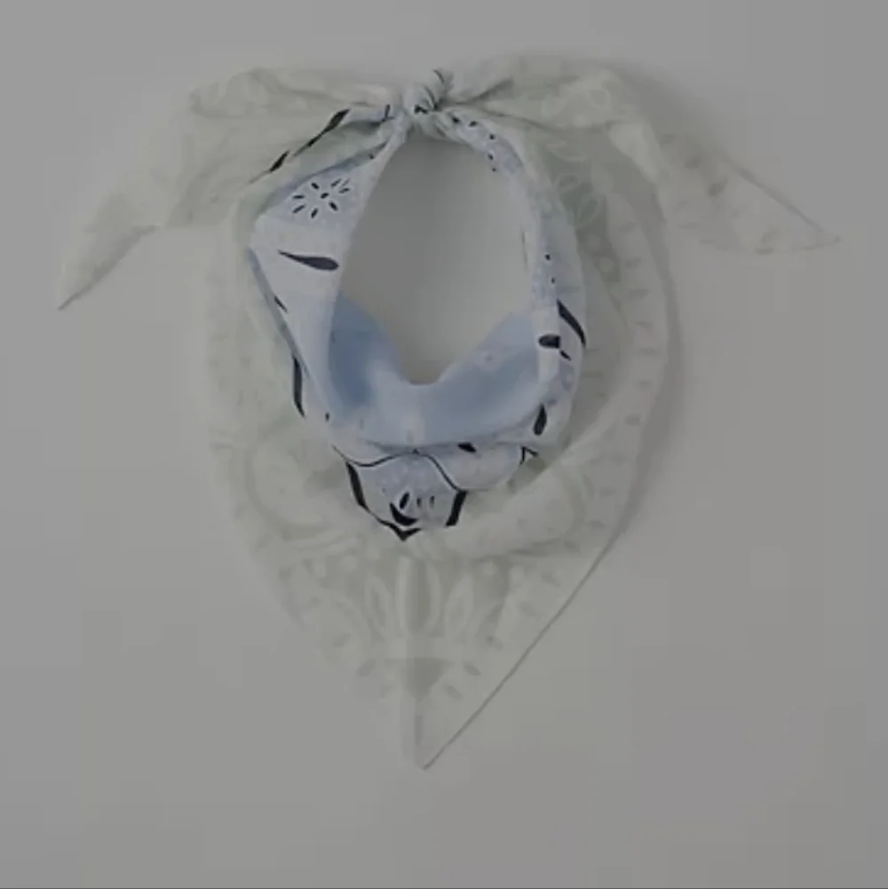Ann Taylor Adelmo Paisley Winter White and Blue SILK Scarf New In Bag